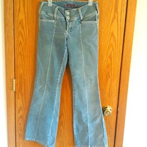 VINTAGE Silver Brand Pants